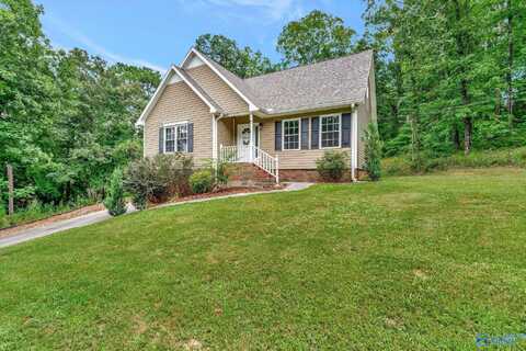 4265 Rollingwood Drive, Southside, AL 35907