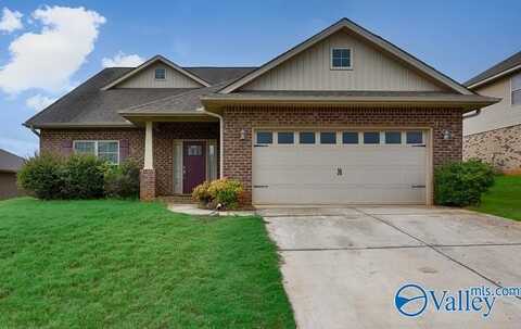 272 Harold Murphy Drive, Madison, AL 35756