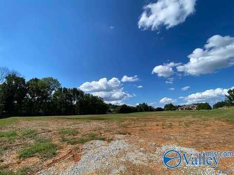 24899 Nick Davis Road, Athens, AL 35613