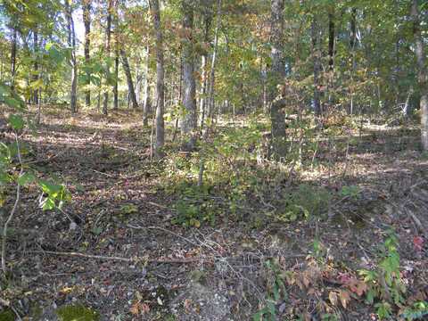 Lot 5 County Road 594, Leesburg, AL 35983