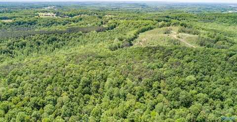 110+/- Acres County Road 262, Town Creek, AL 35672