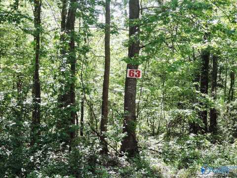 63 Timber Line Court, Jasper, AL 35504