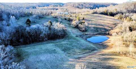 1820 Petty Hollow Road, Lynnville, TN 38472