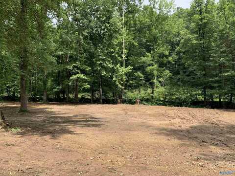 159 Blowing Cave Road, Gurley, AL 35748