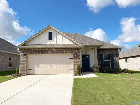 12577 Juniors Drive, Madison, AL 35756