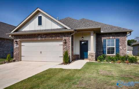 12577 Juniors Drive, Madison, AL 35756