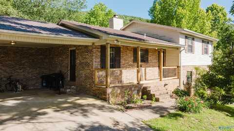 3811 NE Clark Avenue, Fort Payne, AL 35967