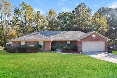 106 Hunters Hill Trail, Toney, AL 35773