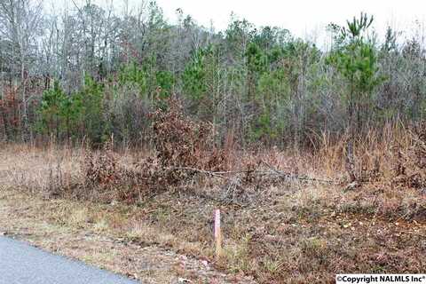 Lot 6 Quail Drive, Centre, AL 35960