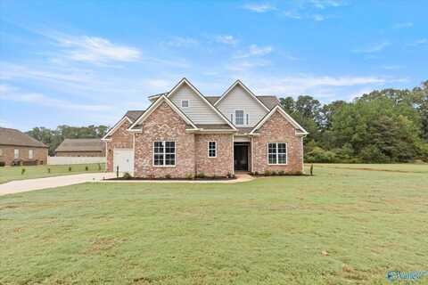 13887 Hatchie Lane, Athens, AL 35611