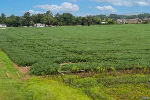 22 Acres Old Hwy 431, Owens Cross Roads, AL 35763