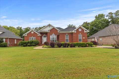 204 Cloud Leap Trail, Huntsville, AL 35806