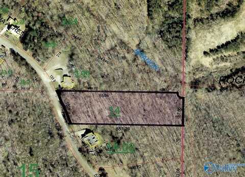 2 Acres Bright Drive, Blountsville, AL 35031