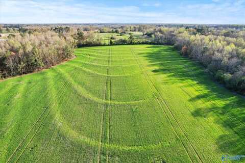 30 Acres County Road 1908, Albertville, AL 35951