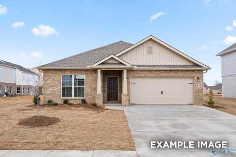 29419 Canoe Circle, Harvest, AL 35749