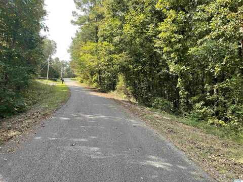 0.53 +/- Acres Mountain Top Road, Southside, AL 35907