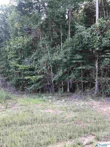 Lot 30 County Road 279, Moulton, AL 35650