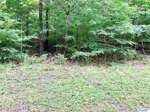 0.34 Acres Shady Lane, Fort Payne, AL 35967