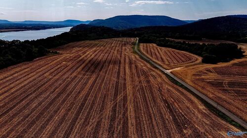 784 Mccutcheon Loop Rd  