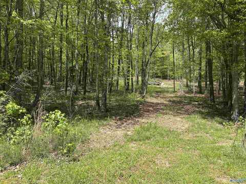 34.5 Acres Glenn Boulevard, Fort Payne, AL 35968