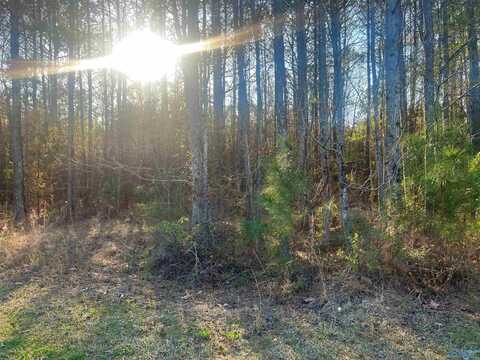 Lot 1 Summer Breeze Drive, Cedar Bluff, AL 35959