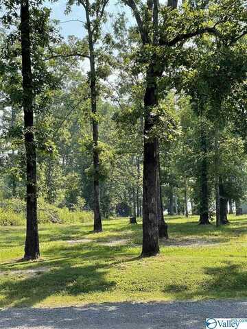 51 Lot Woodmont Road, Cedar Bluff, AL 35959