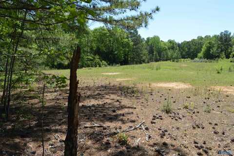 19.55 Ac Herring Road, Hartselle, AL 35640