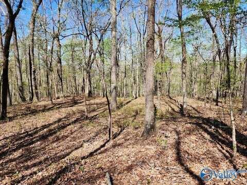 59 Acres Horse Cove Road, Gurley, AL 35748