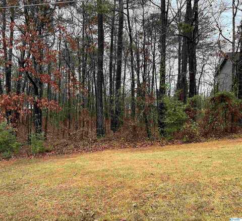 Lot 2 Blk 5 County Road 380, Centre, AL 35960