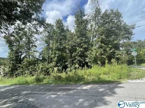 Lot 13-14 Anchor Drive, Southside, AL 35907