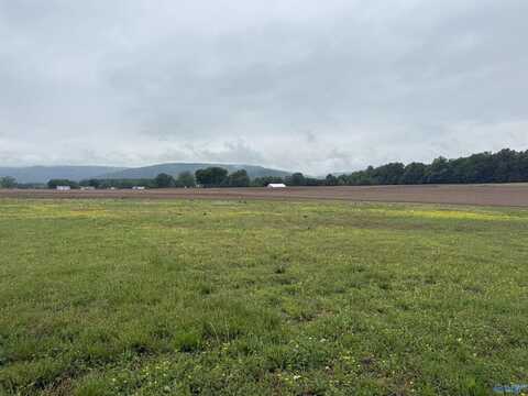 Lot 3 Beshears Drive SE, Huntsville, AL 35803