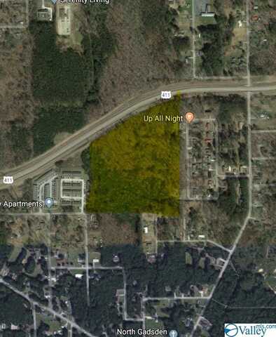 25 +/- Acres Highway 411, Gadsden, AL 35901