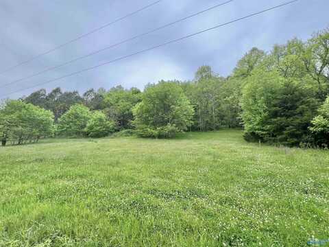 5.36 Thompson Hollow Road, Taft, TN 38448