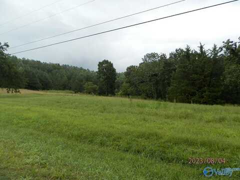 4243 Cotton Gin Road, Spruce Pine, AL 35585