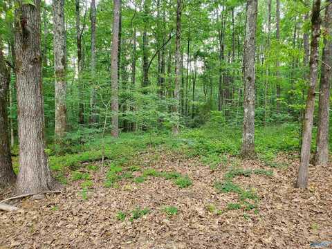 4.80 Acres Boyd Street, Scottsboro, AL 35769