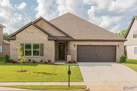 Charleston Saddle Street, New Market, AL 35761