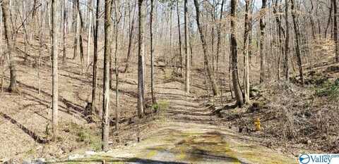 3.2 Acres Northwoods Trail, Gadsden, AL 35901