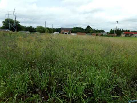 Lot005 Sandlin Road SW, Decatur, AL 35603