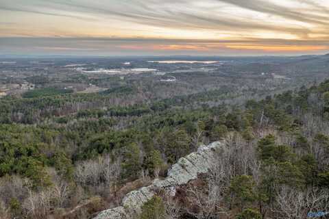 Lot 81 Mauney Lane, Leesburg, AL 35983