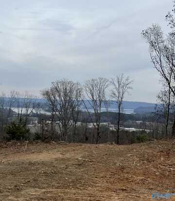 230 Acres Tara Road, Guntersville, AL 35976