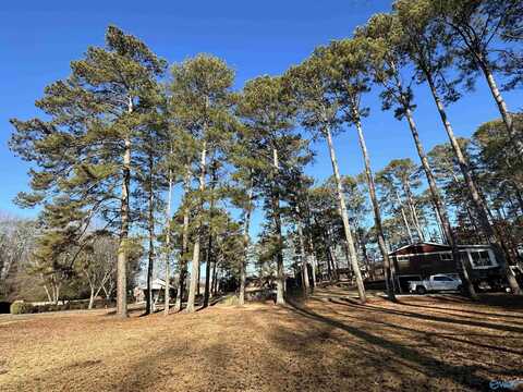 19 Hartwood Drive, Gadsden, AL 35901