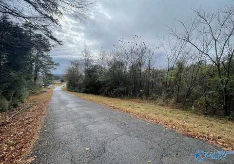 5 Acres Bakers Chapel Lane, Guntersville, AL 35976