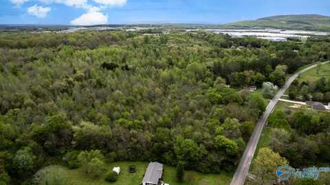 77 Acres Carters Gin Road, Toney, AL 35773