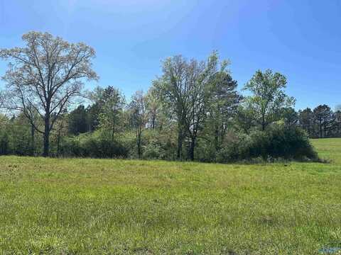 17 Acres County Road 1061, Vinemont, AL 35179