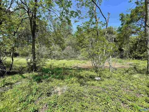 4 Acres Laurel Street SW, Decatur, AL 35603