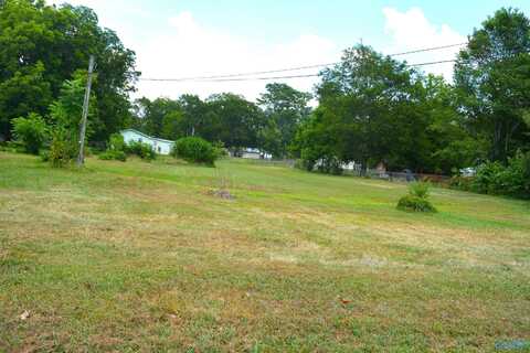 50 Al Petty Street, Scottsboro, AL 35768