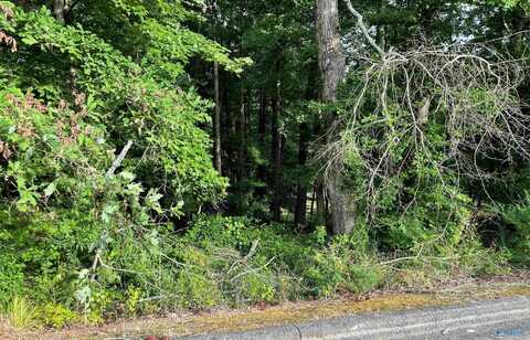 Lot 4 Beech Ridge, Gadsden, AL 35901