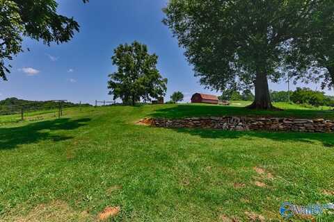 110 Hardy Road, Pulaski, TN 38478