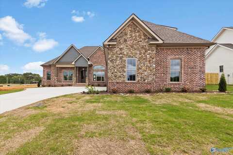 22566 Mary Grace Drive, Athens, AL 35613