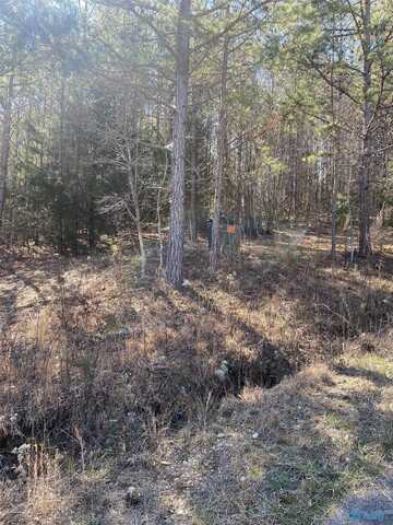 Lot 1 Blk 2 Alyson Avenue, Fort Payne, AL 35968